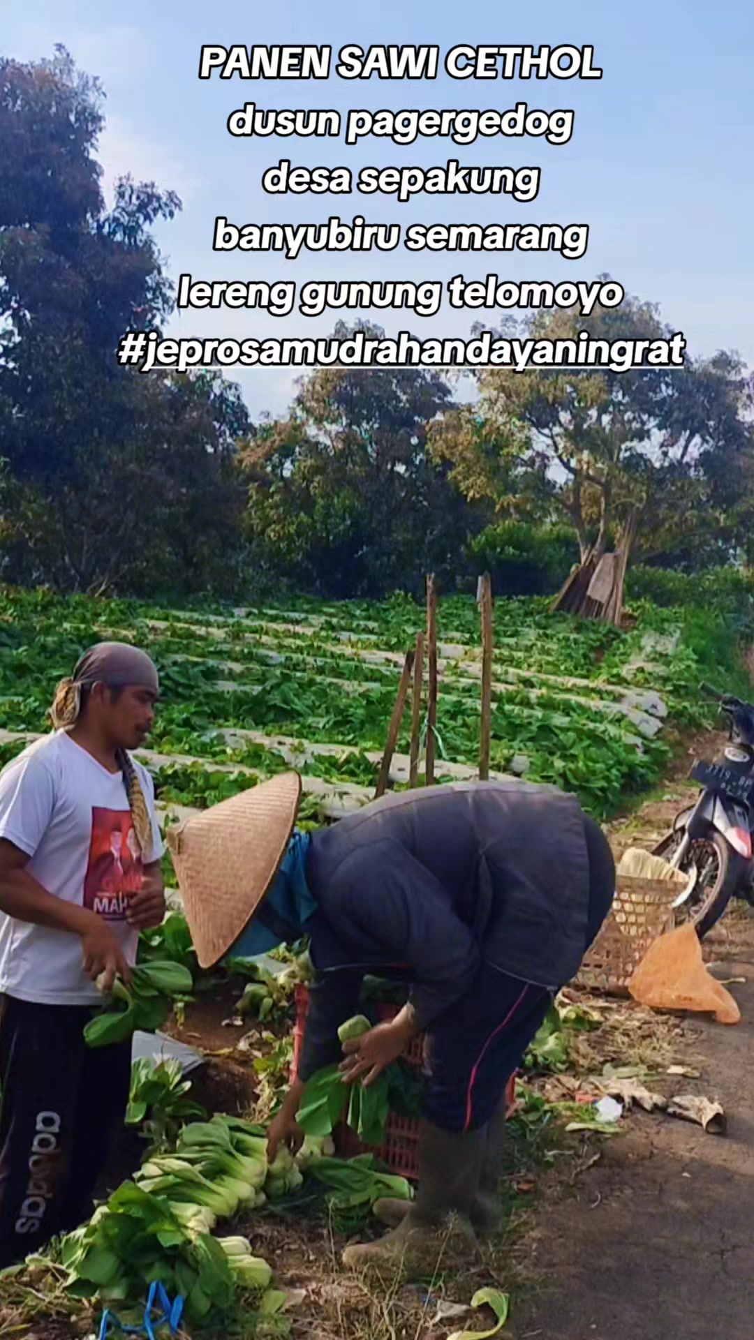 @JEPRO SAMUDRA