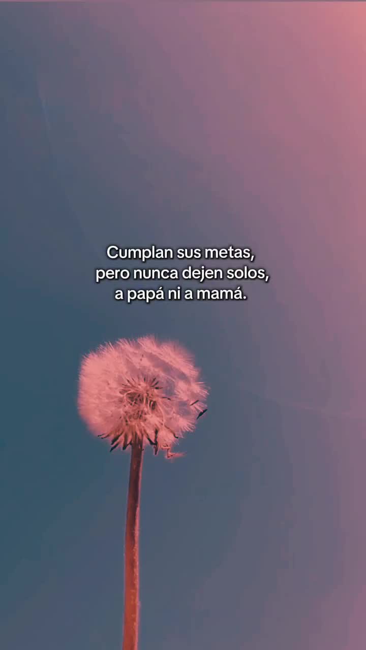 @Noches De Insomnio