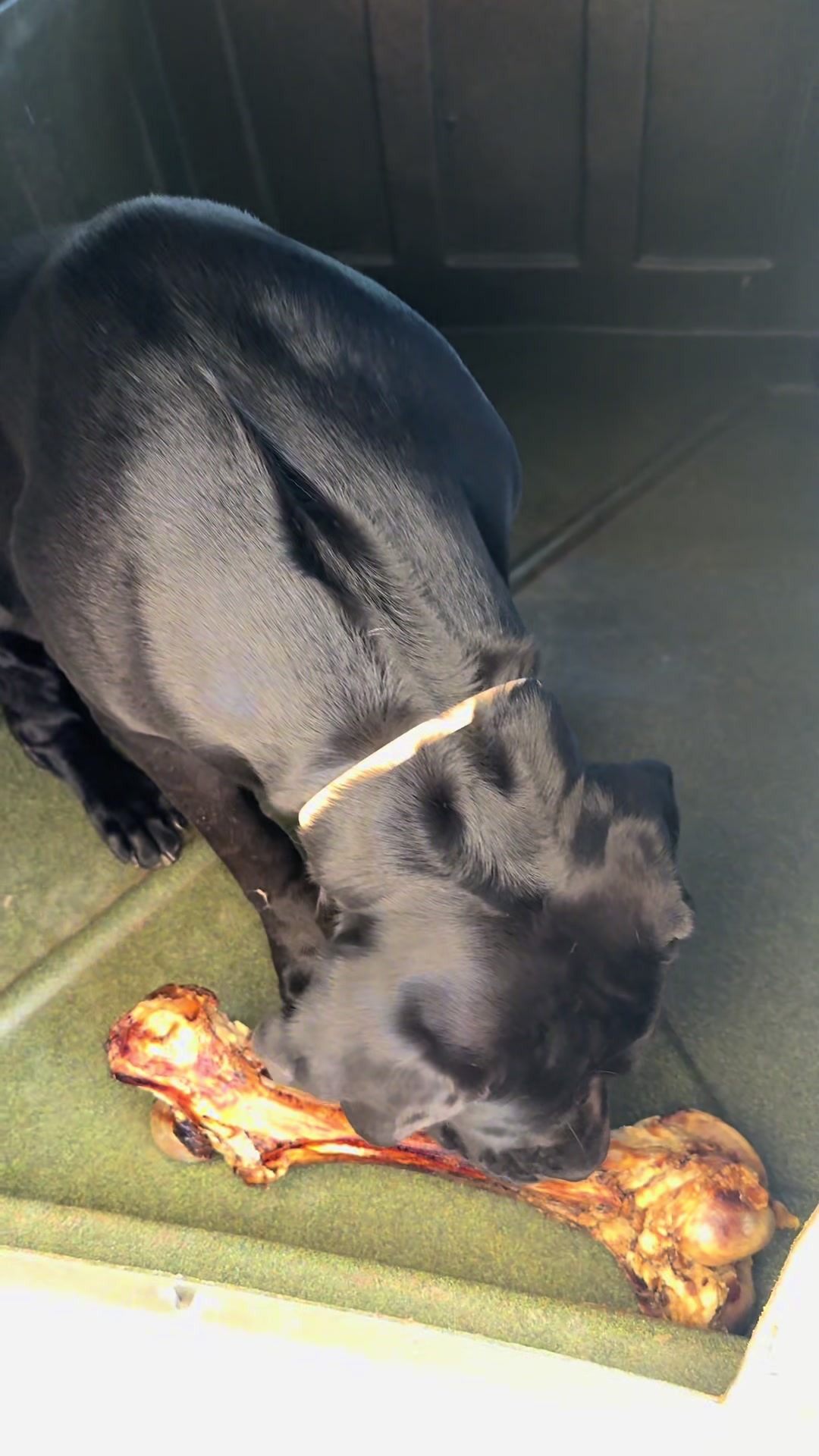 @Mel, Nina & Ozzy