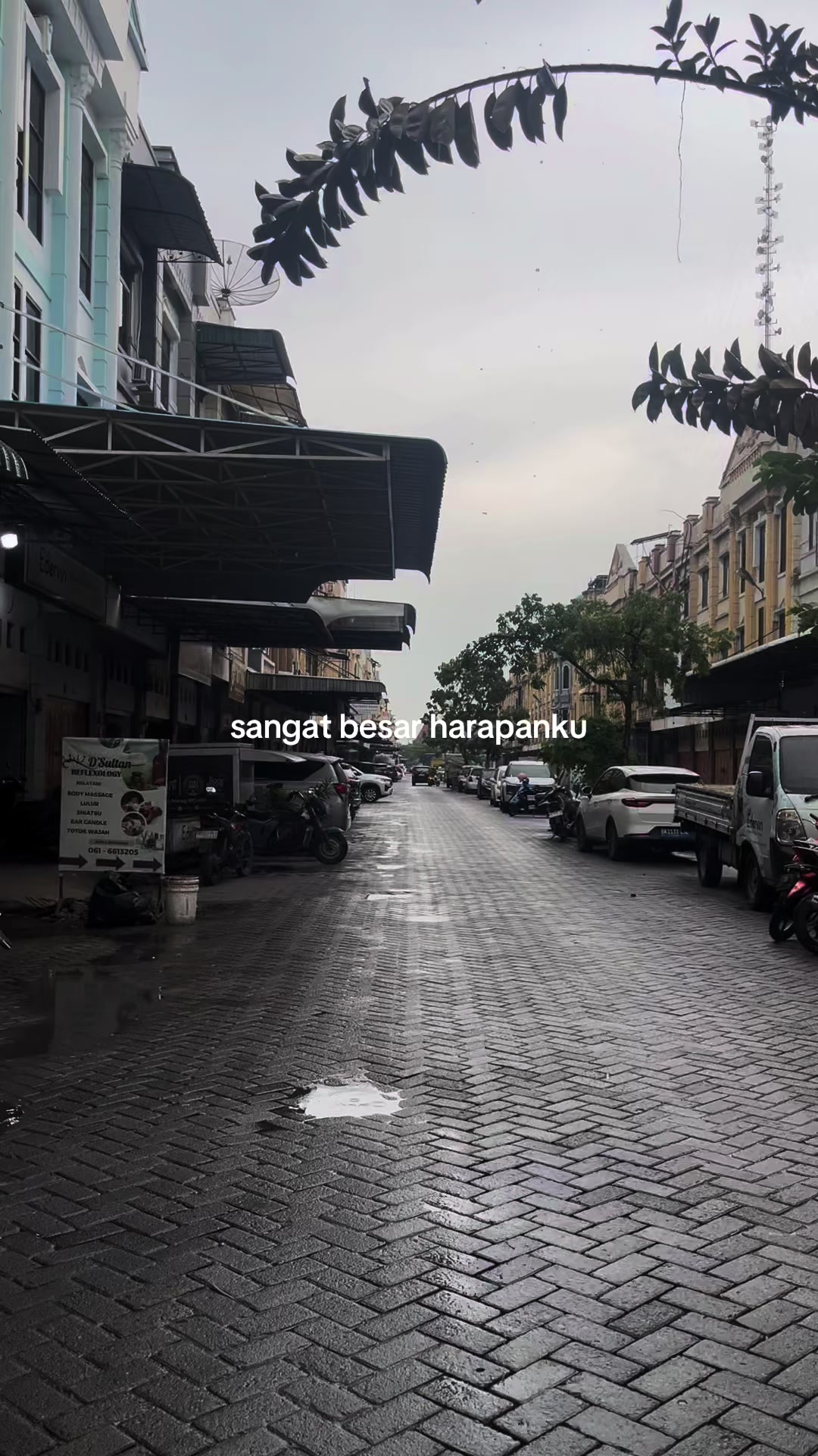 @yoan