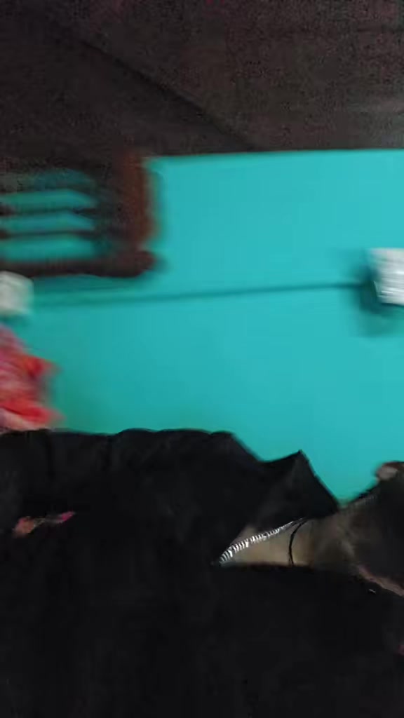 @𝐀𝐌𝐈𝐓 𝐆𝐈𝐑𝐈 𝟎𝟑𝟕>🖤🐦