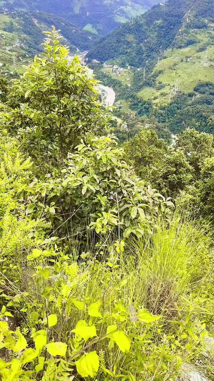 @🥰💔👤 Mochyang..🇳🇵❤️😍