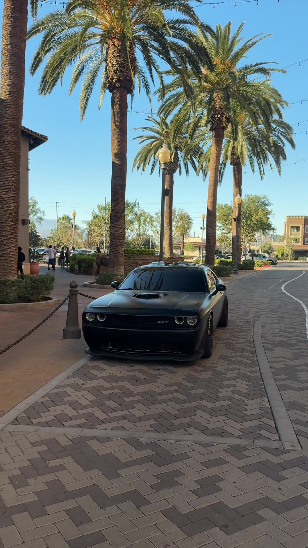 @Srtcam