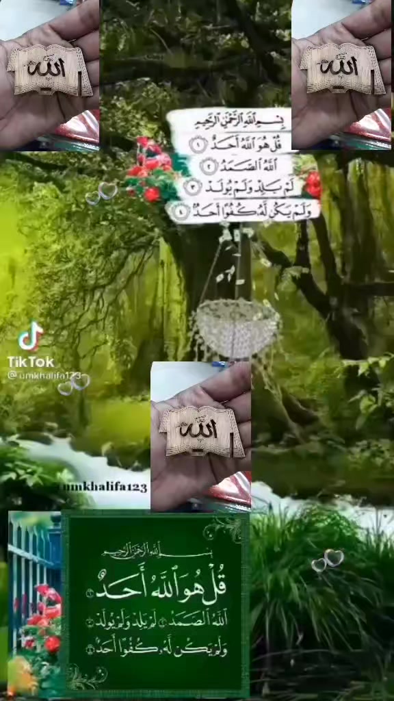 @Belal Hossain
