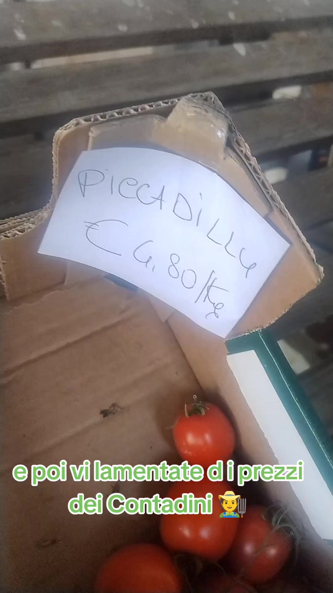 @Nell'orto di Alex ๐๐๐จ๐พ