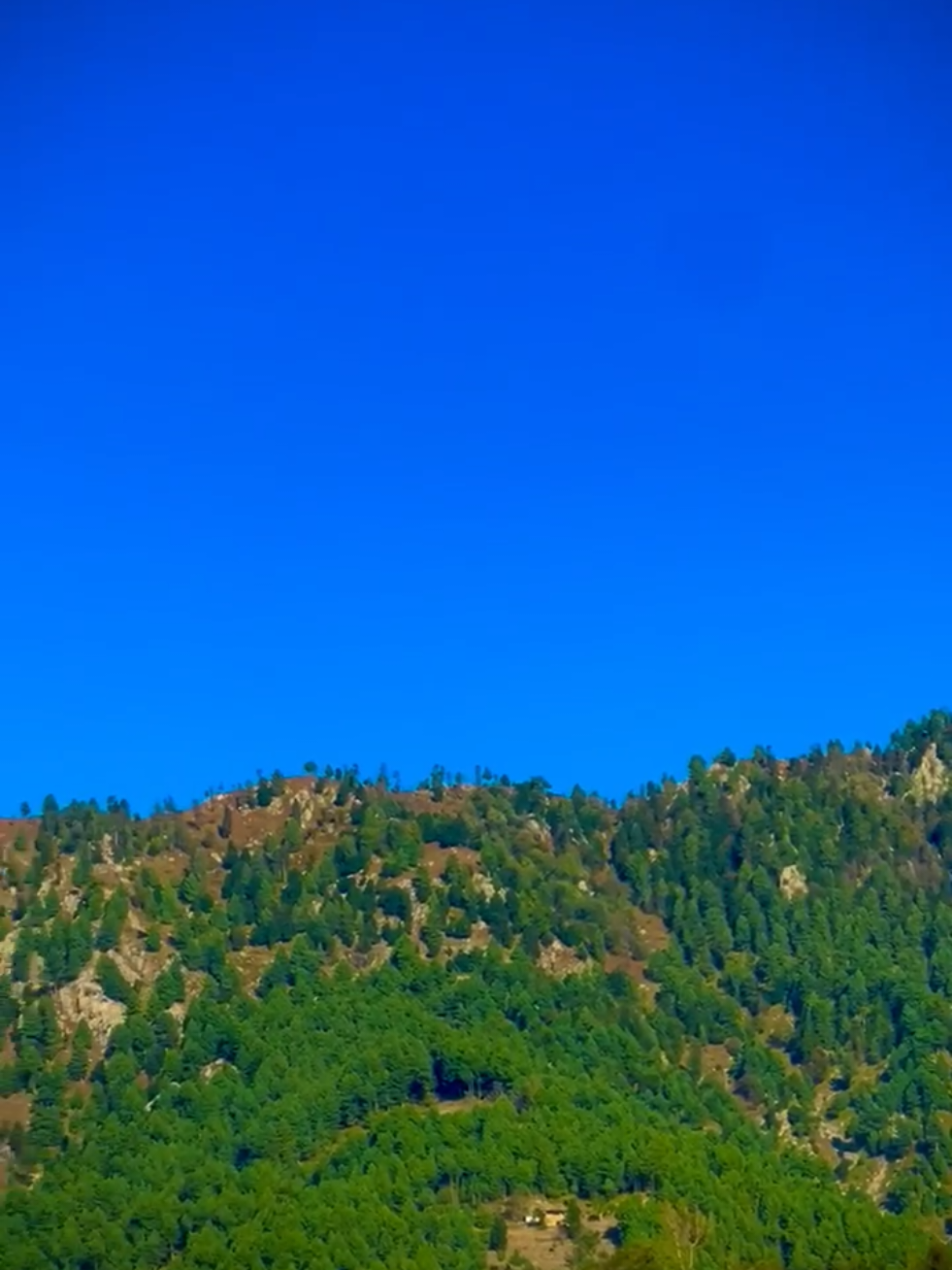 @🌲غر سنے 🌲