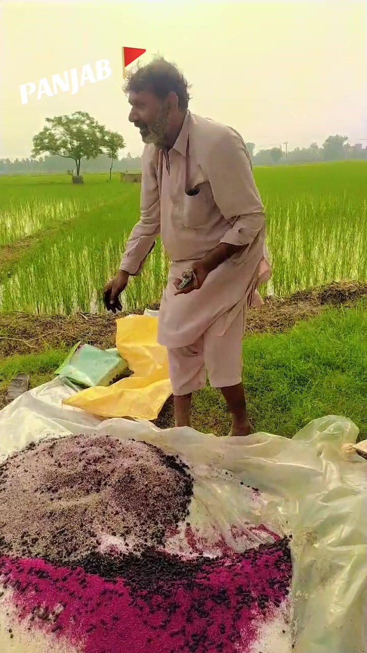 @Aلi SUلEHRI 🚩