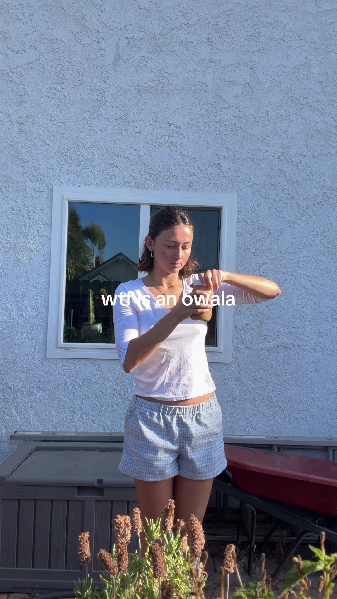 @koridbento