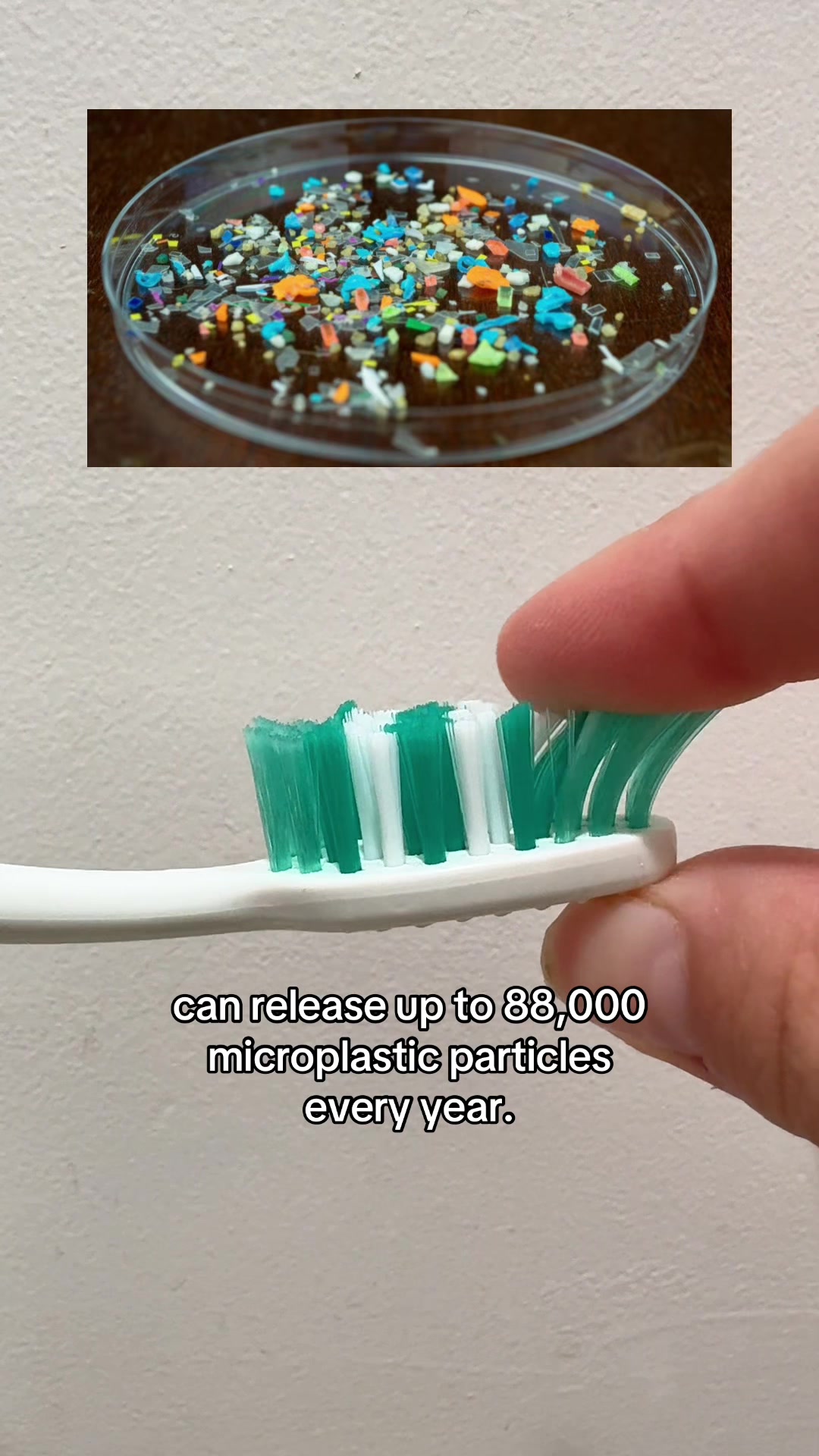 @ZeroWasteStore