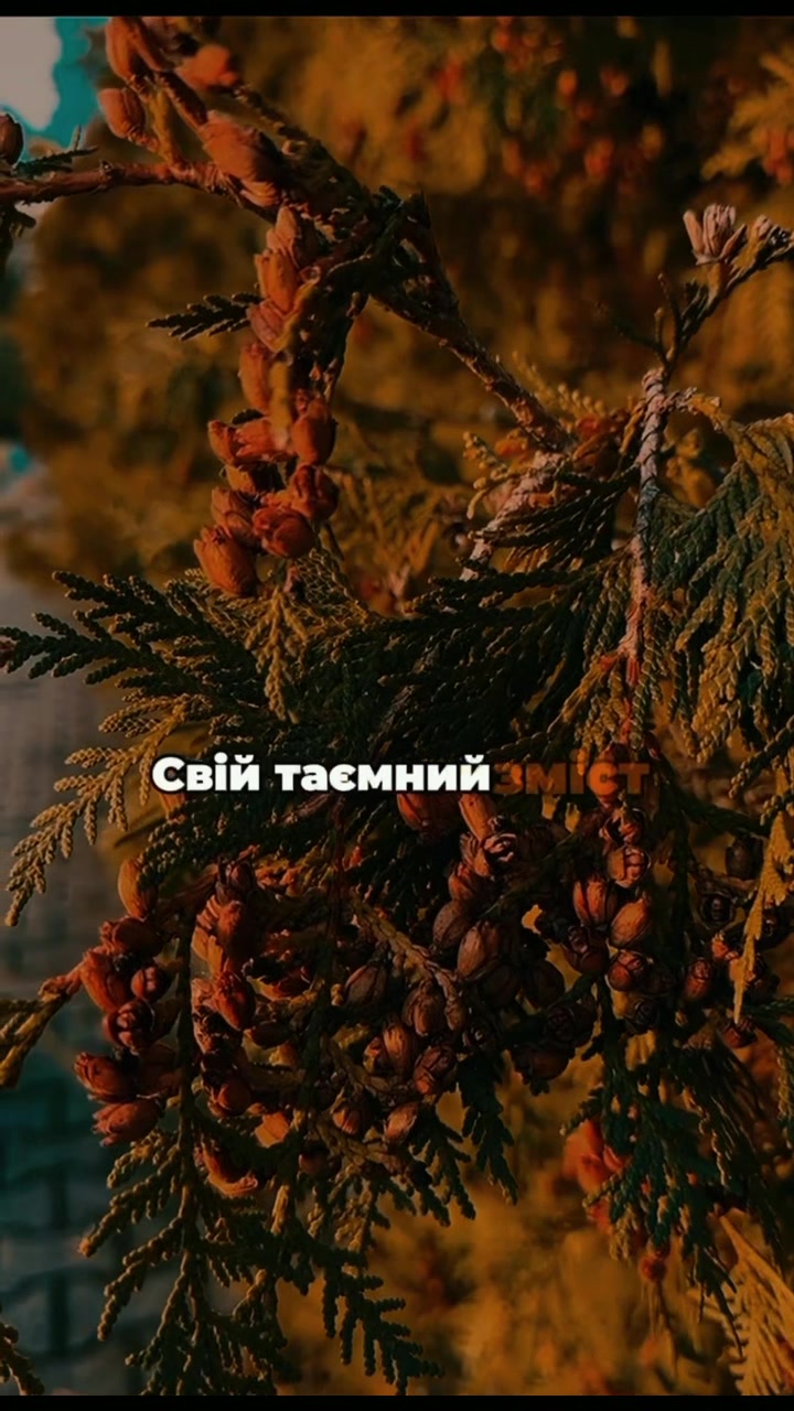 @Anw_🏳️&zwj;🌈