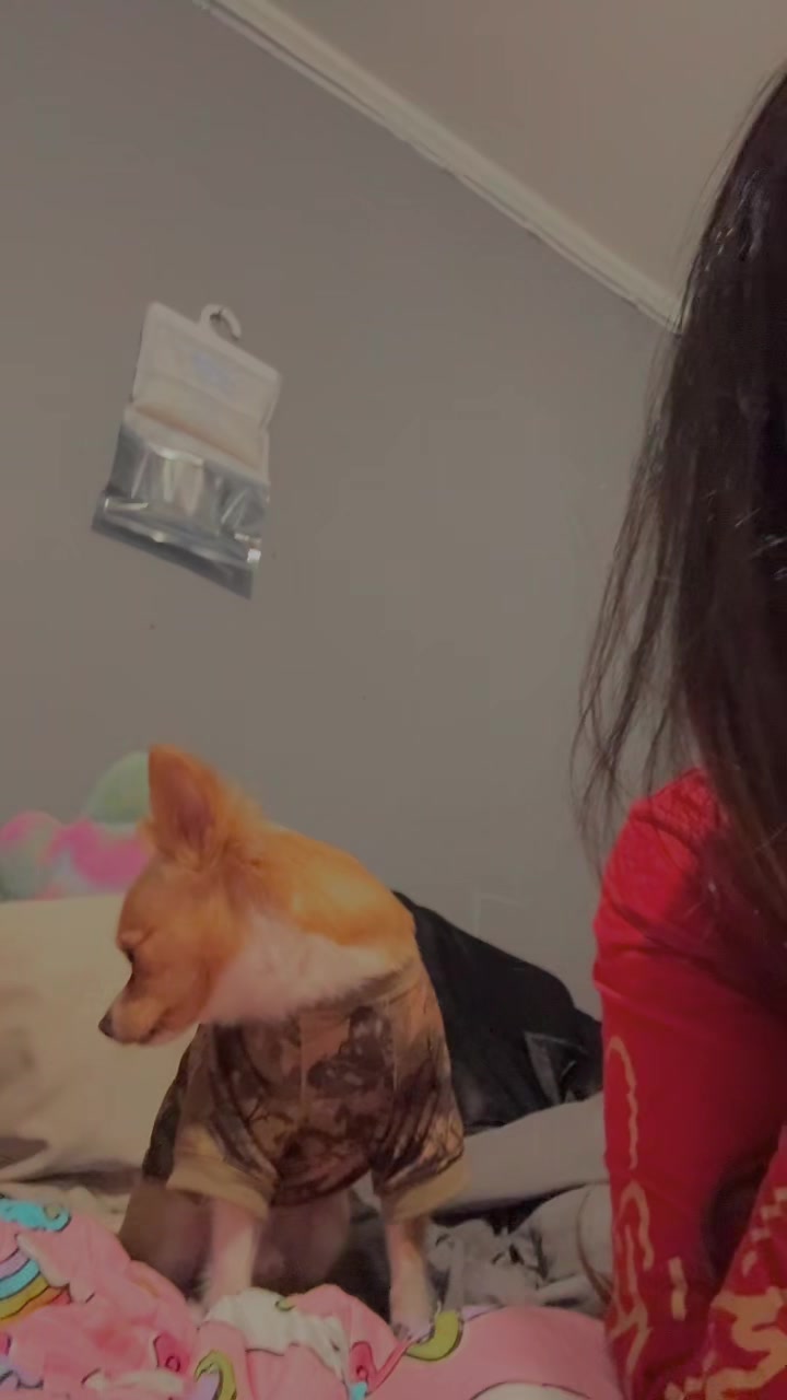 @janelleeperezz