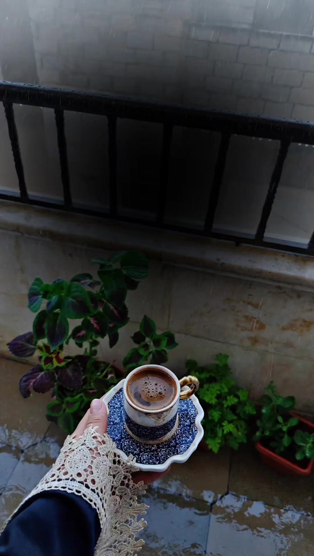 @عبير الورد🍃❤️