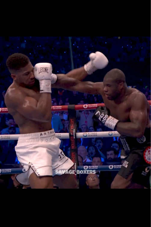 @Savage Boxers
