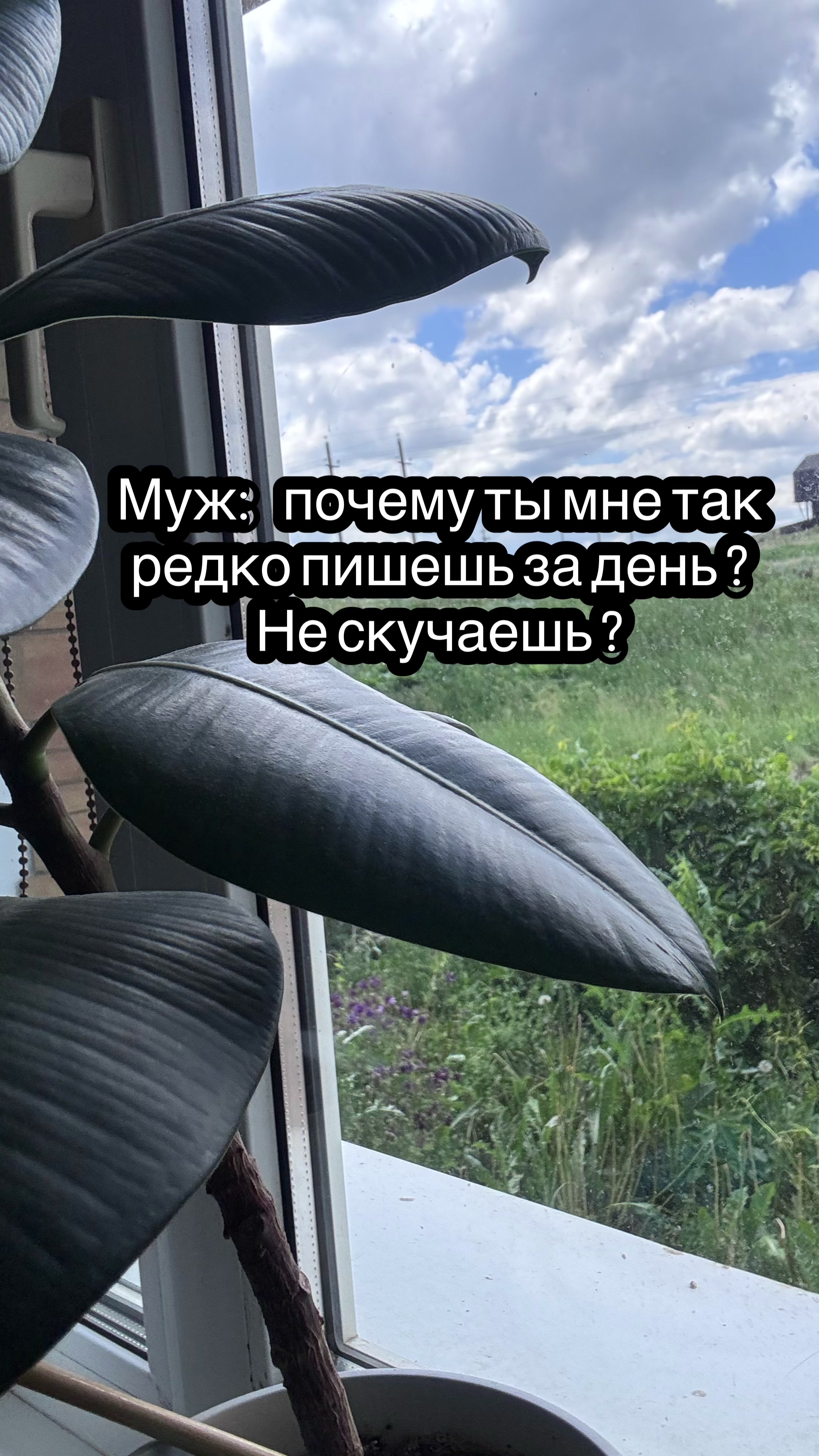@Виктория🦋