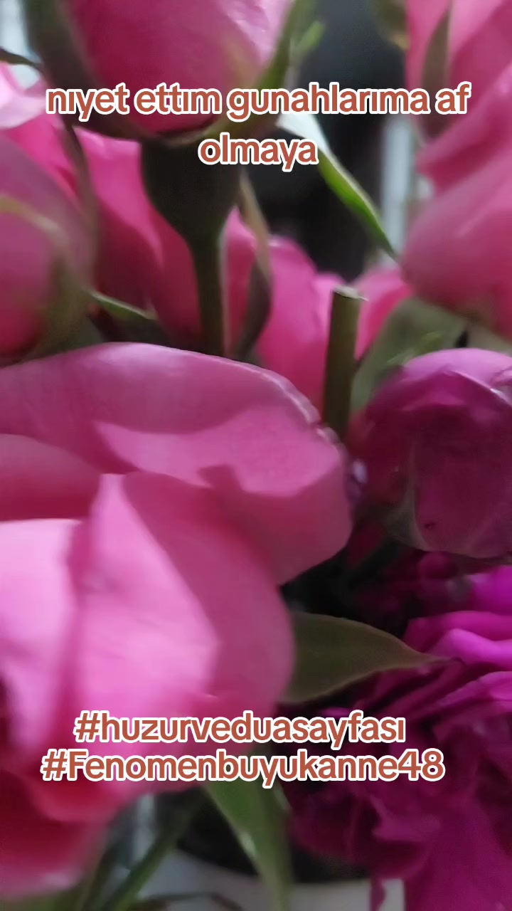 @Fenomenbuyukanne48