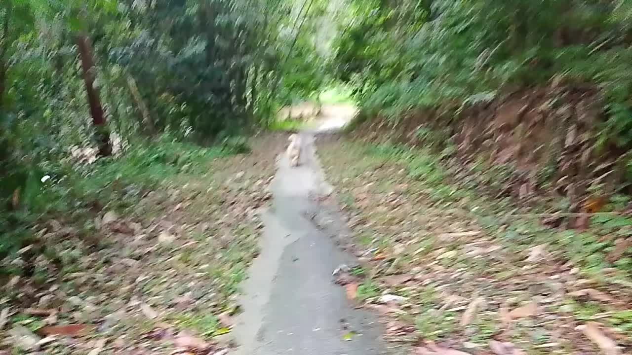 @ยุ้ย