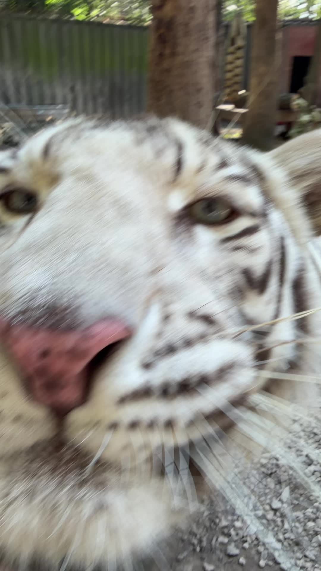 @Liondad87๐ฆ