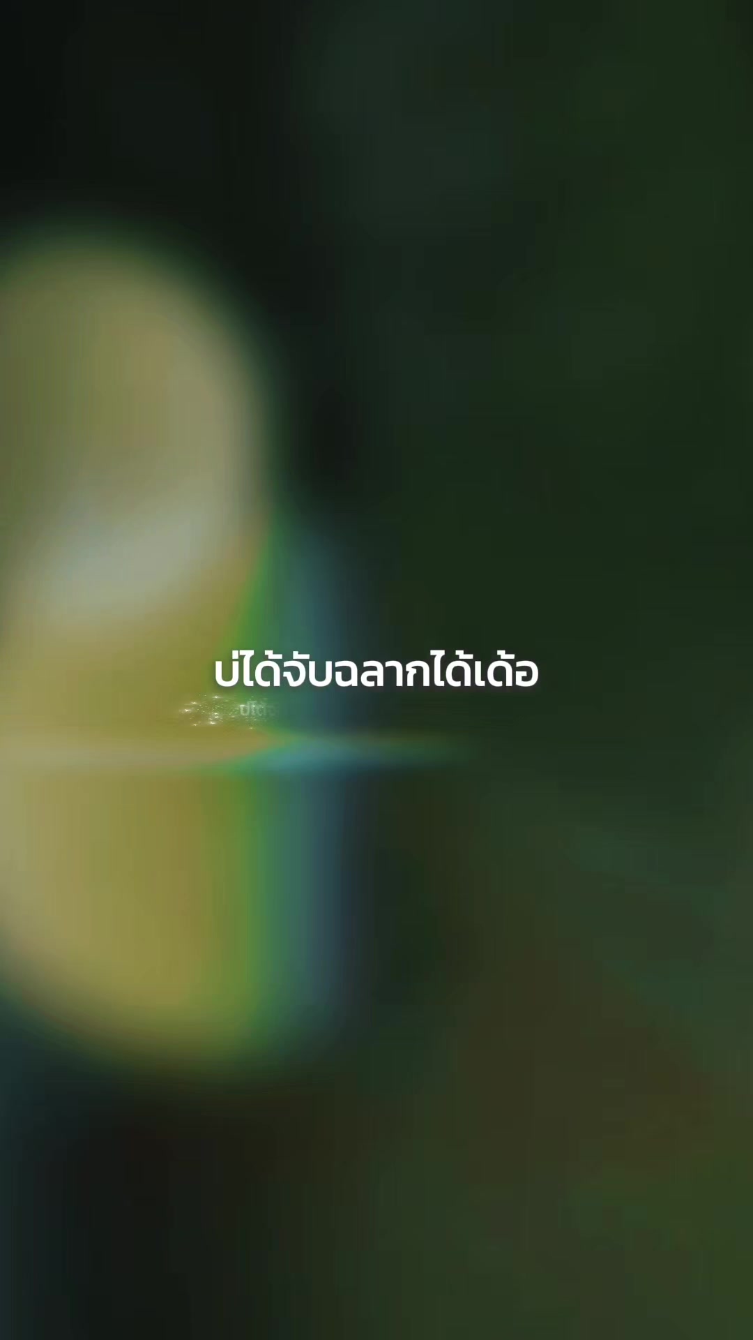 @เหมียว🐱