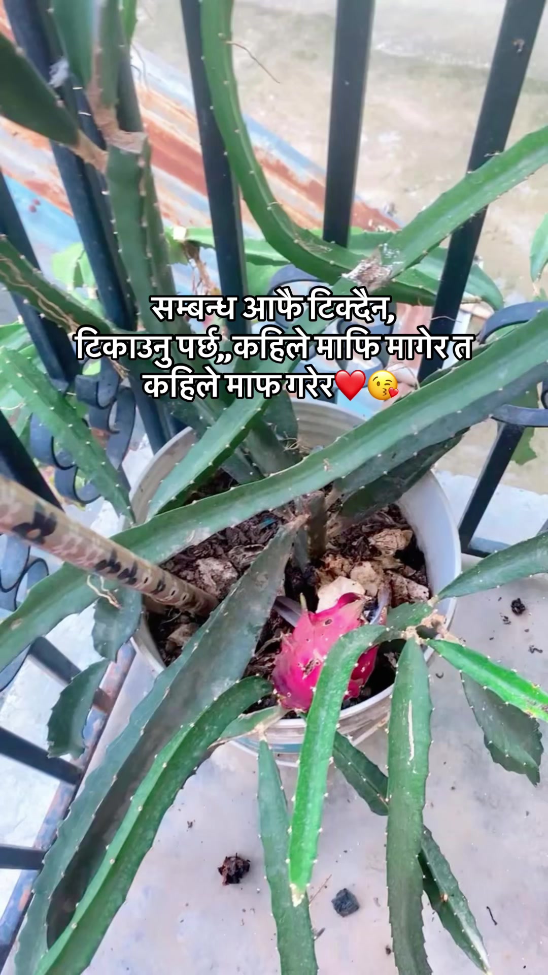 @Renu❤️Prem Maskey🧿