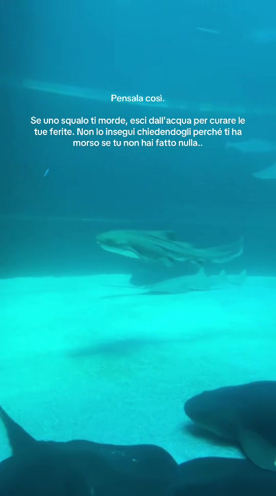 @chiaretta🫧