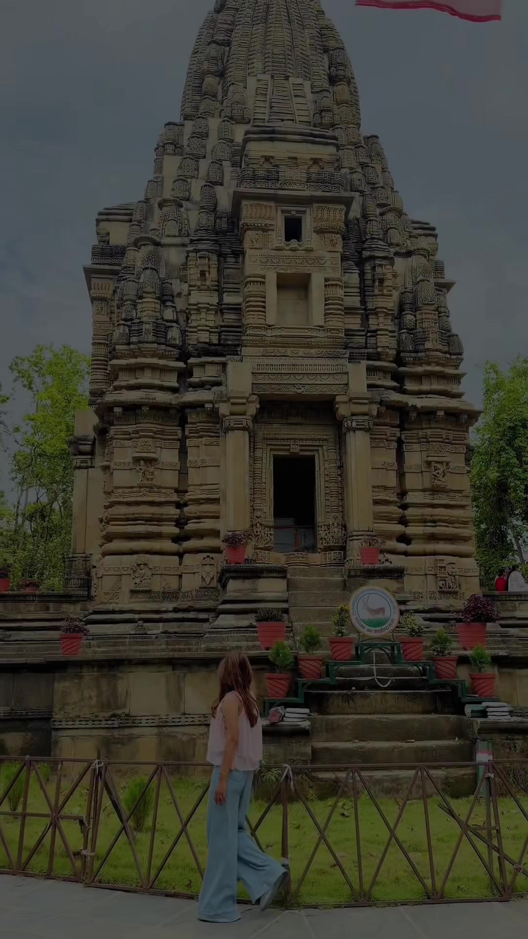 @Shandya Regmi🦚✨