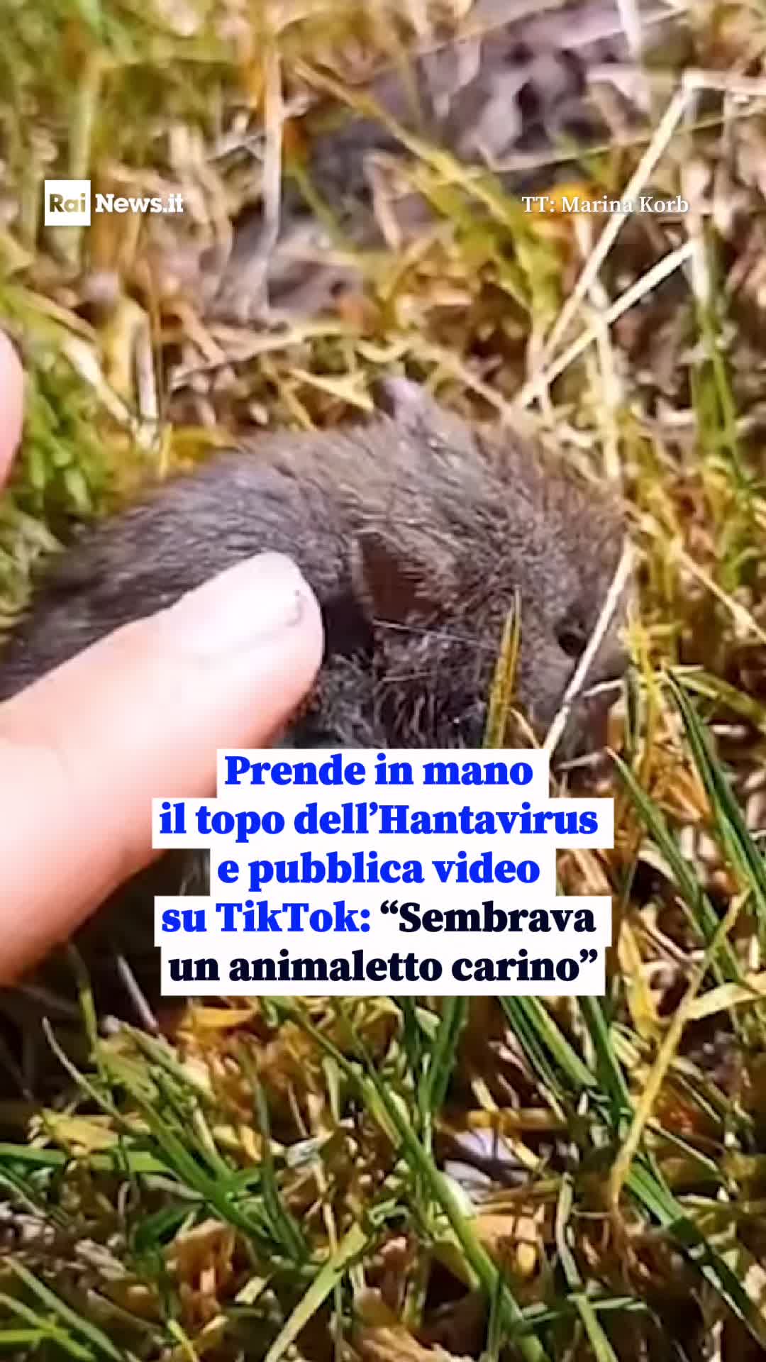 @RaiNews