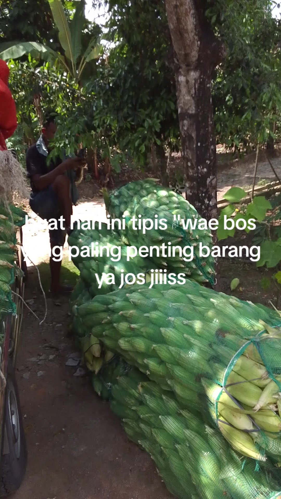@MUHAMMAD RIZAL