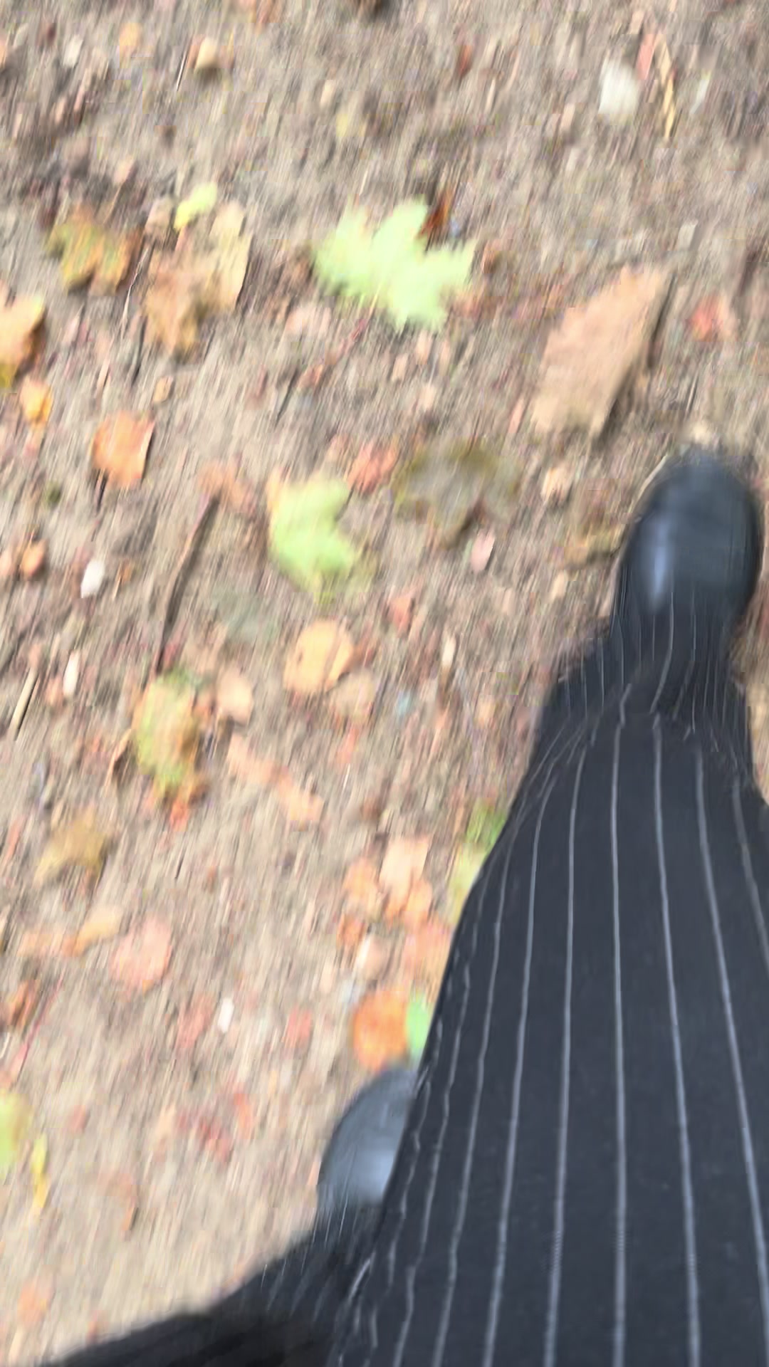 @Radams