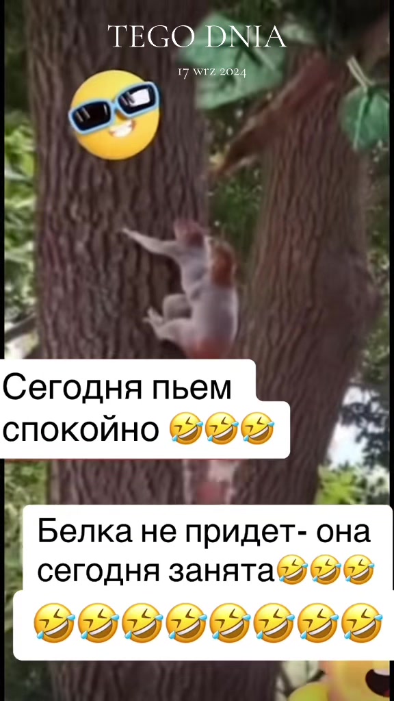 @๐๐๐๐๐๐