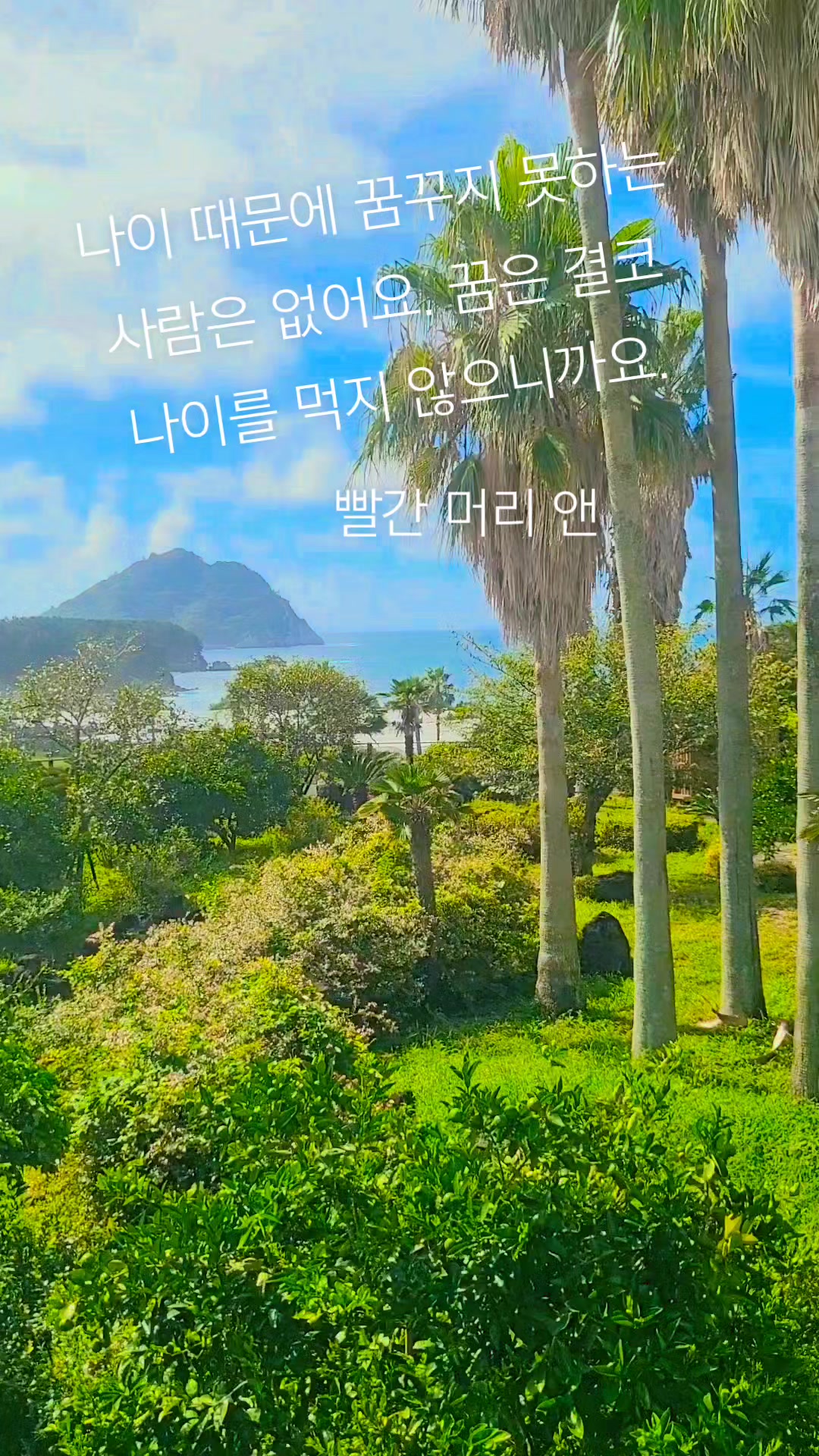 @앤