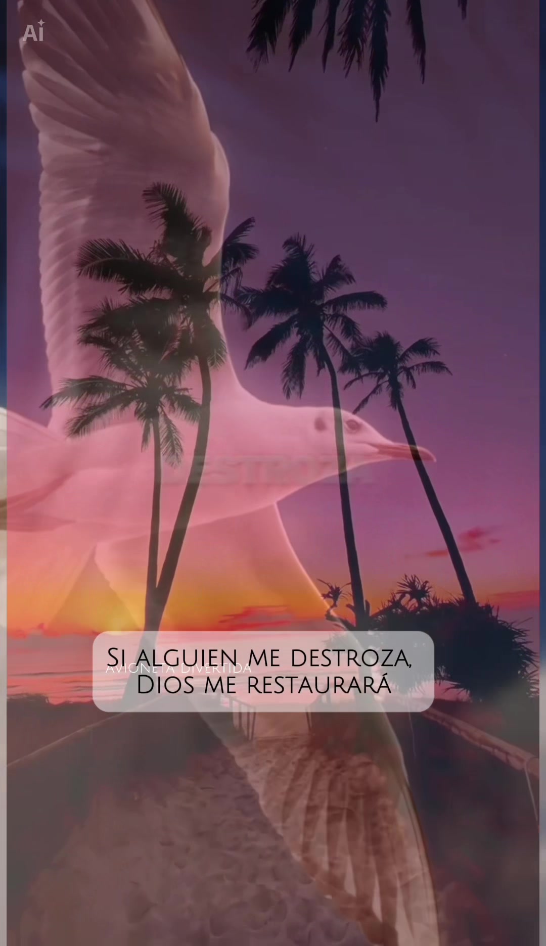 @avioneta_divertida