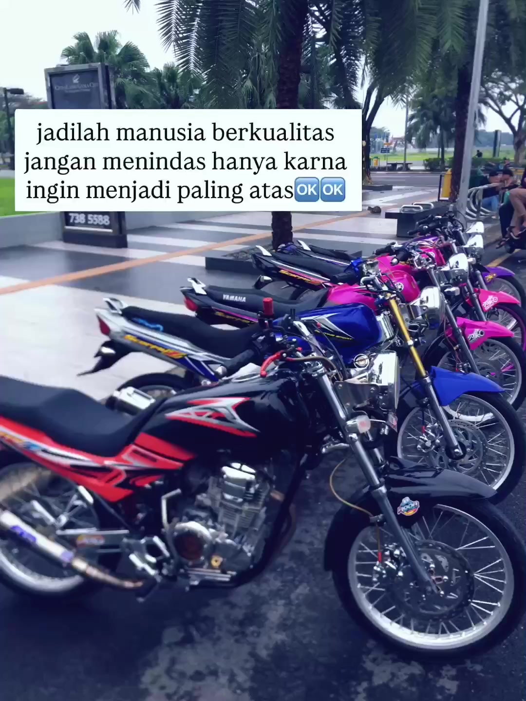 @FIRD🅰️US 225🦂