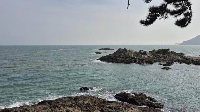 @도달류선생 DodalRyu 🎣