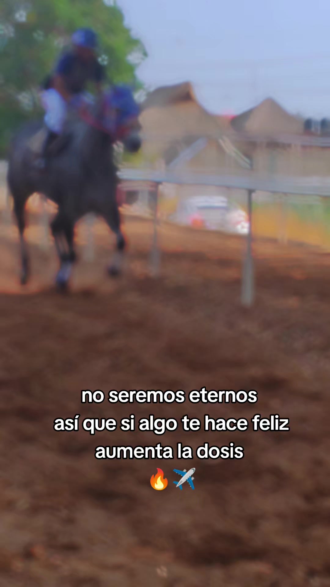 @carriles altos de jalisco🐎