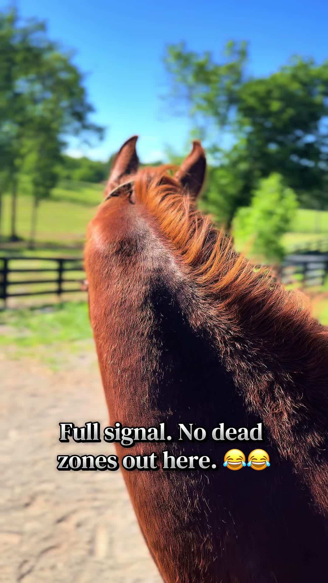 @Stonewell Farm