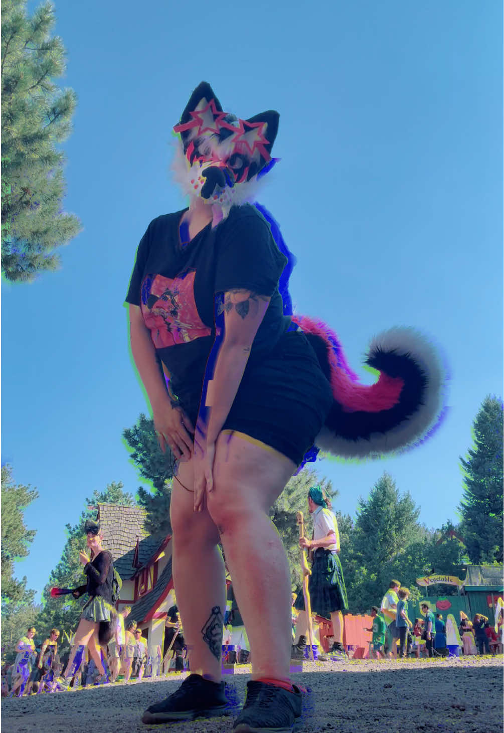 @pinkgeminihuskyofficial