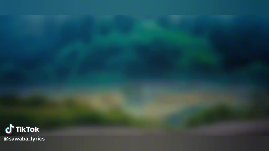 @Rabeeatmuhd31
