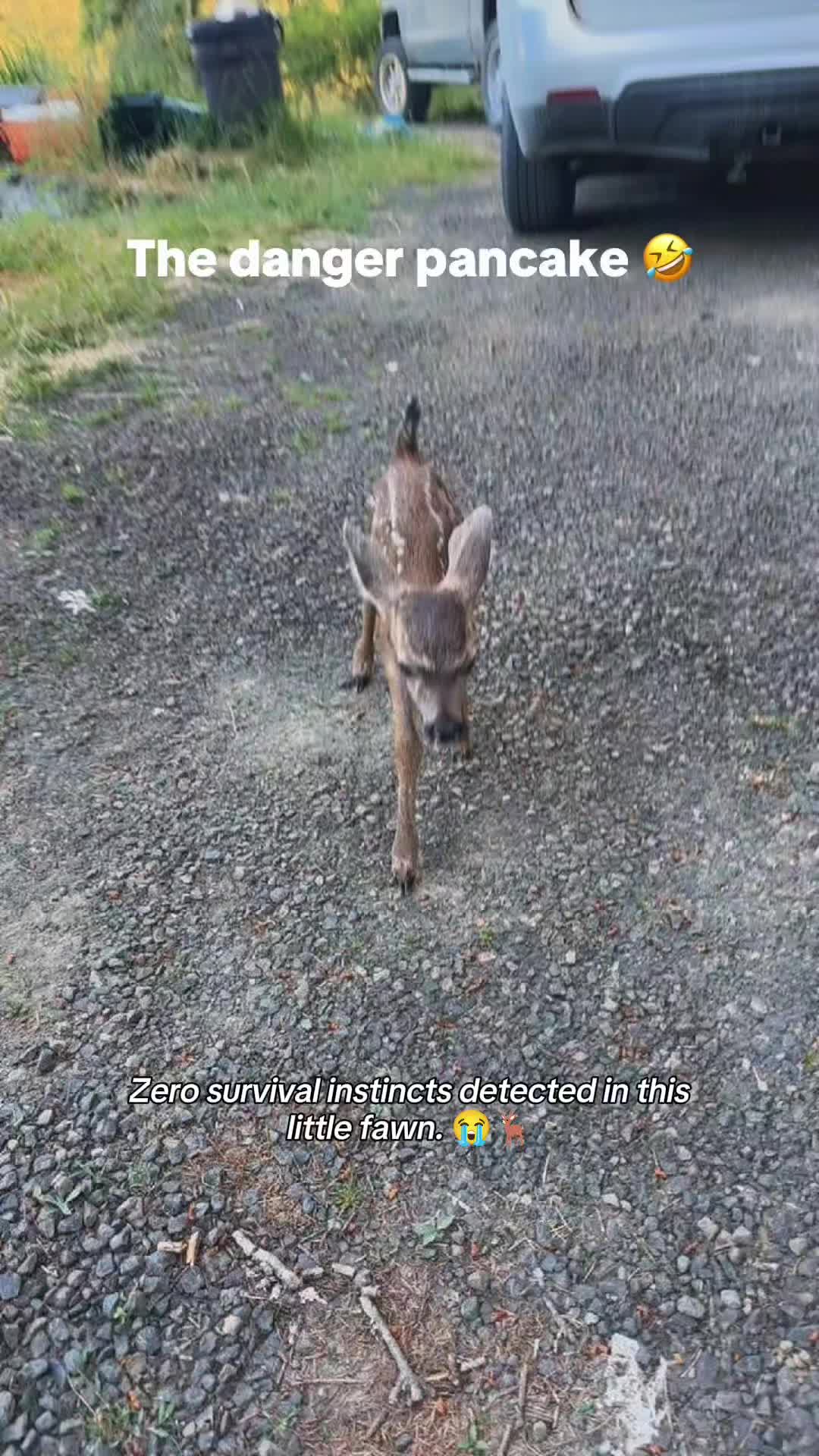 @WildwonderzZzz