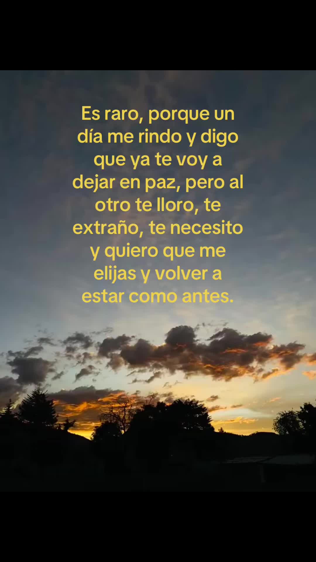 @gaby_cs25