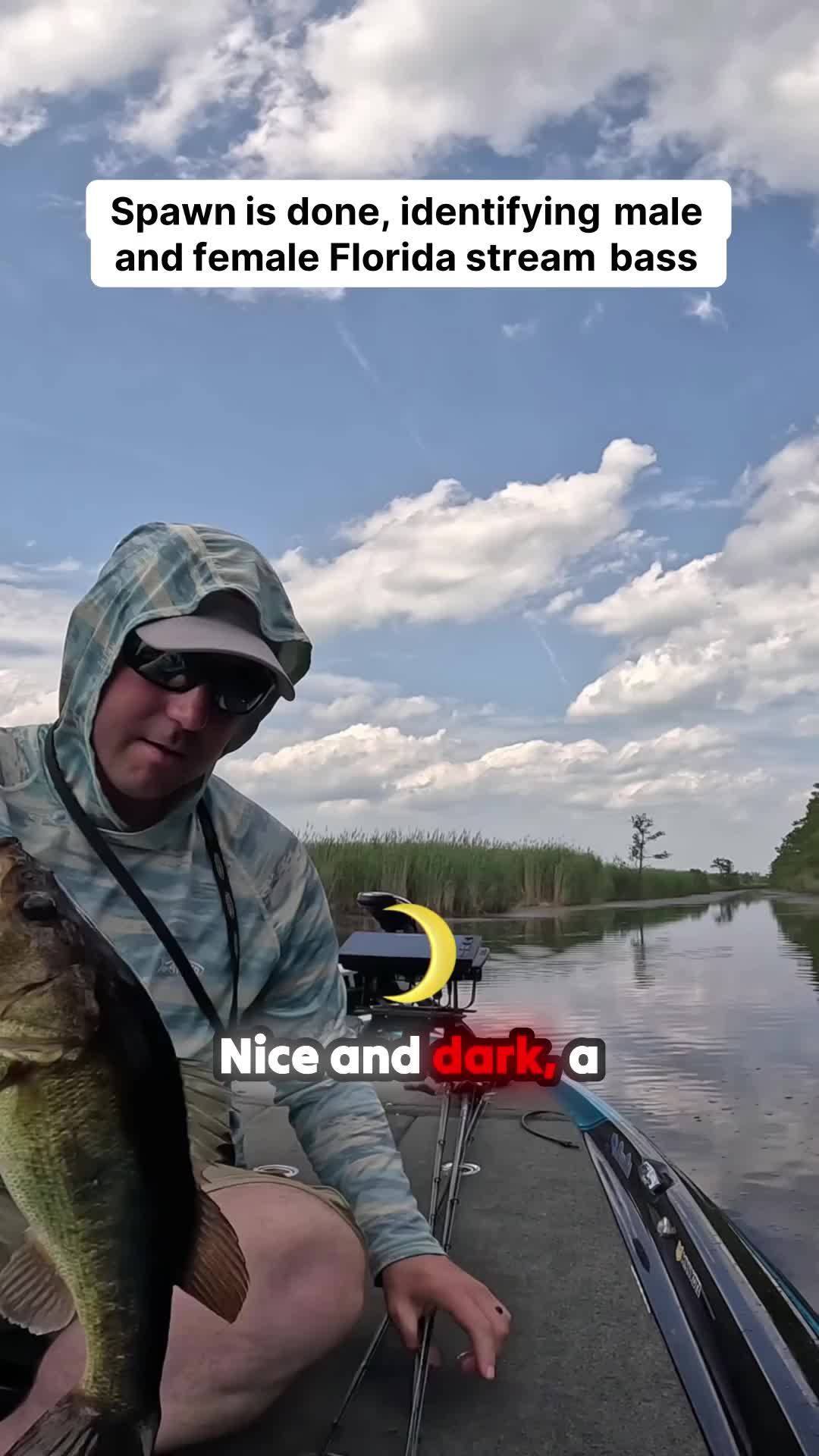@rlf fishing