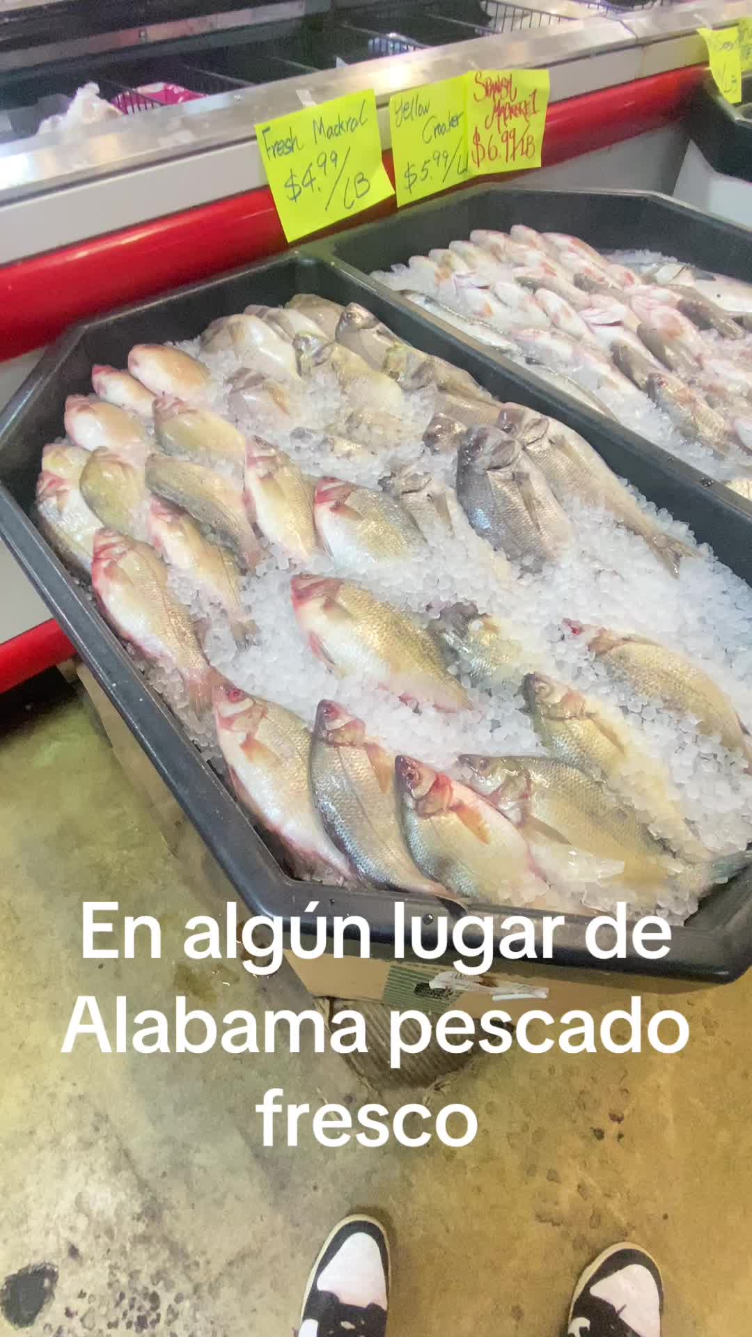 @@jalisco