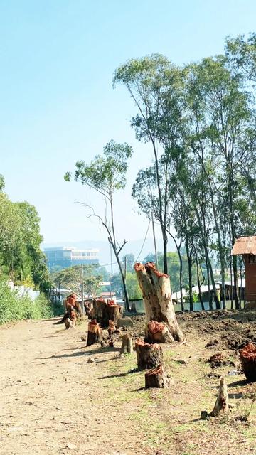 @Chimdi🔥🔥Wanchi 2