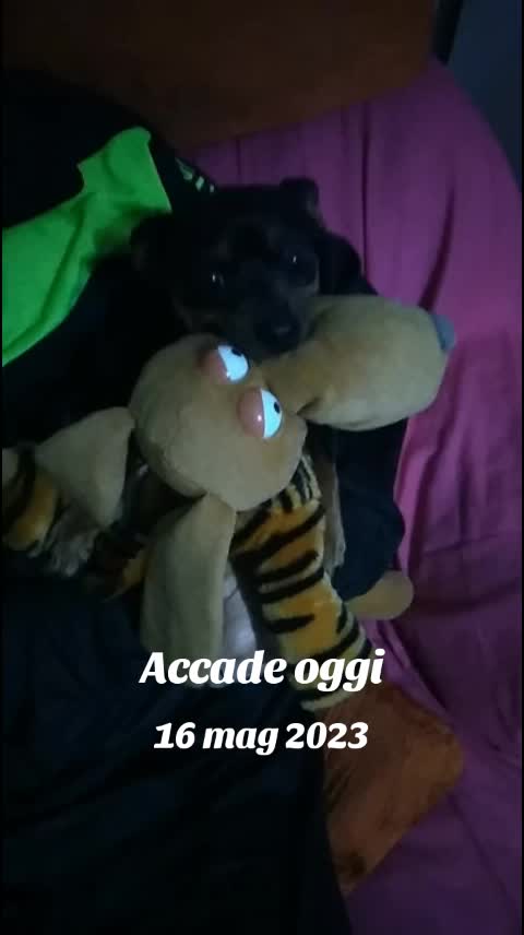 @lucry