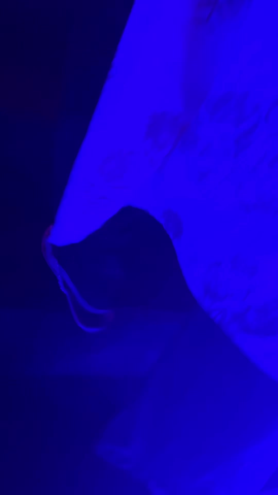@ꈜꁲꌅ꒐.꒒ꁲꂵꁲ1🖤