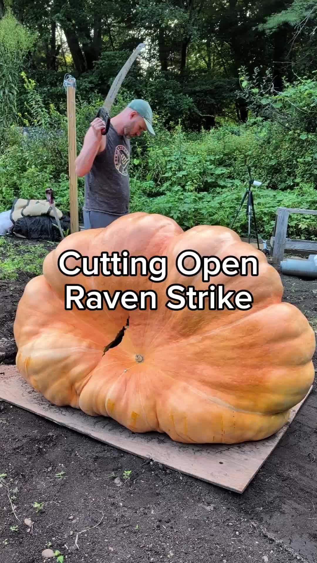 @bigpumpki