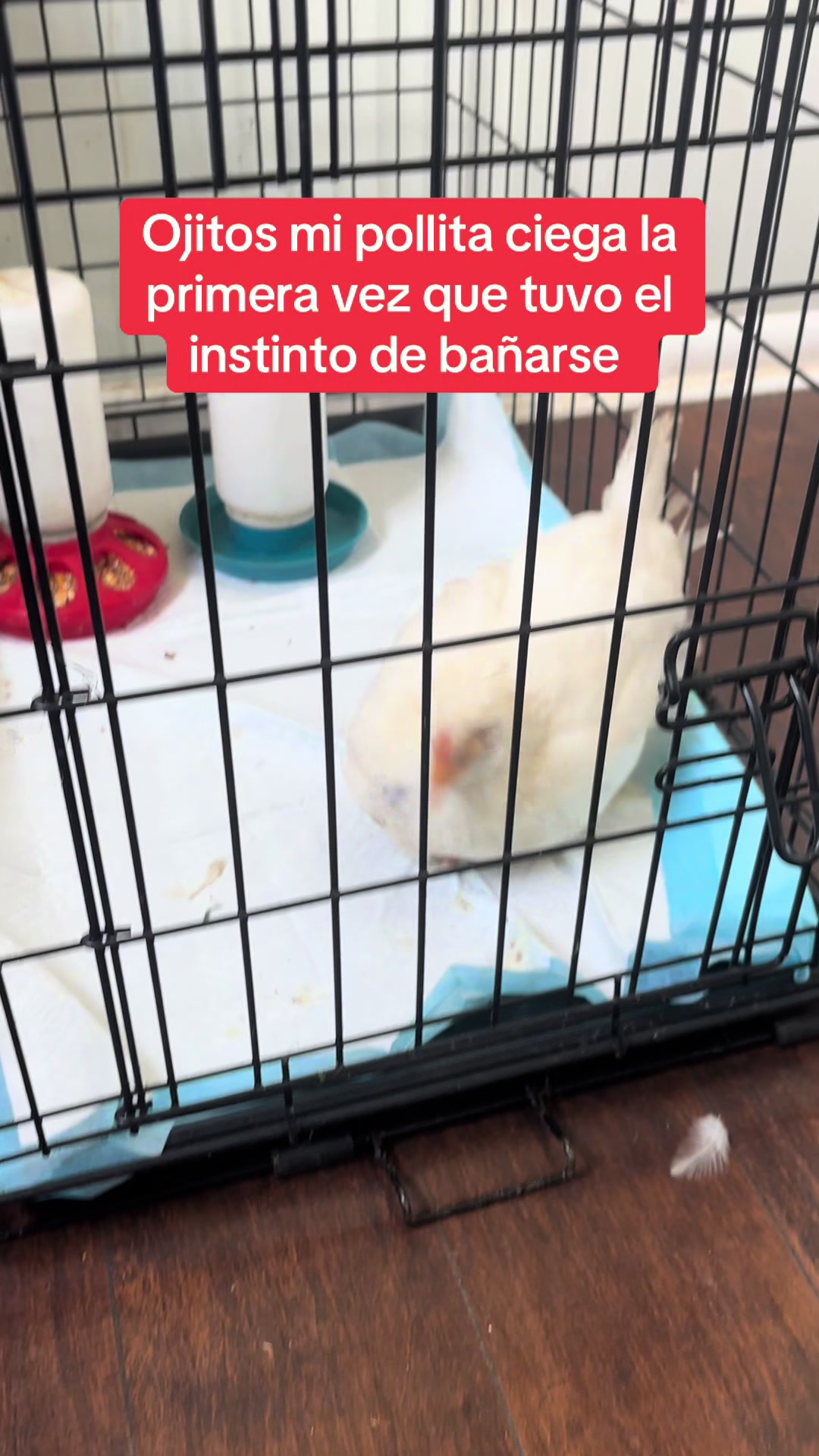 @WILSON DÍAZ