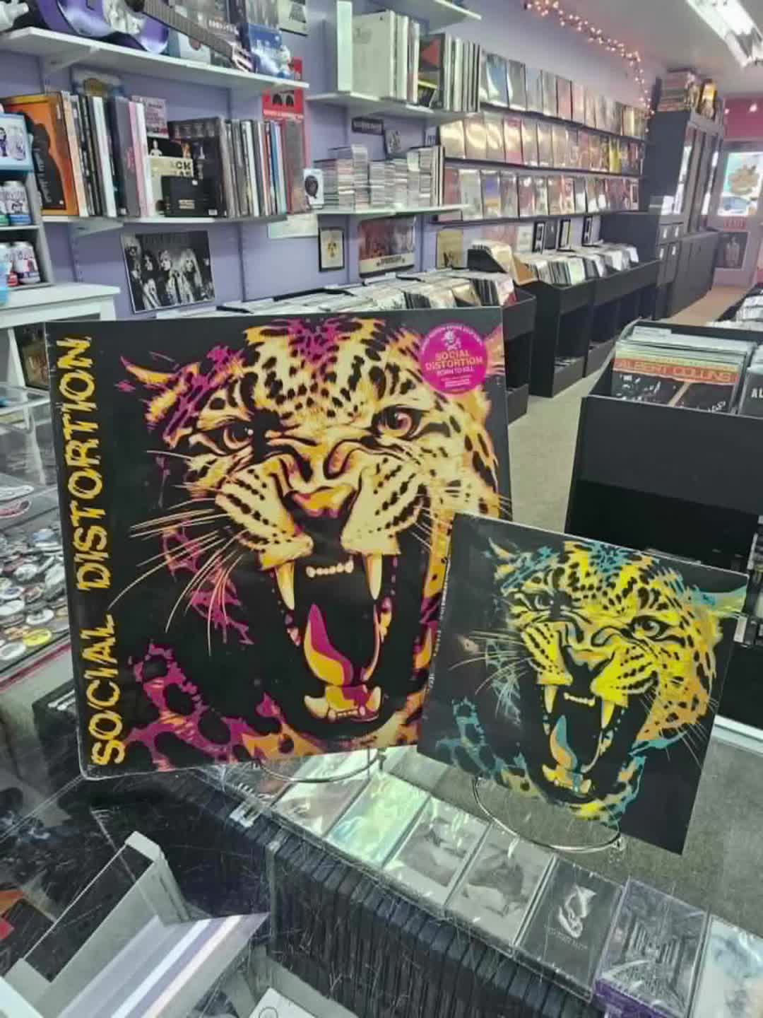 @saltydogrecords