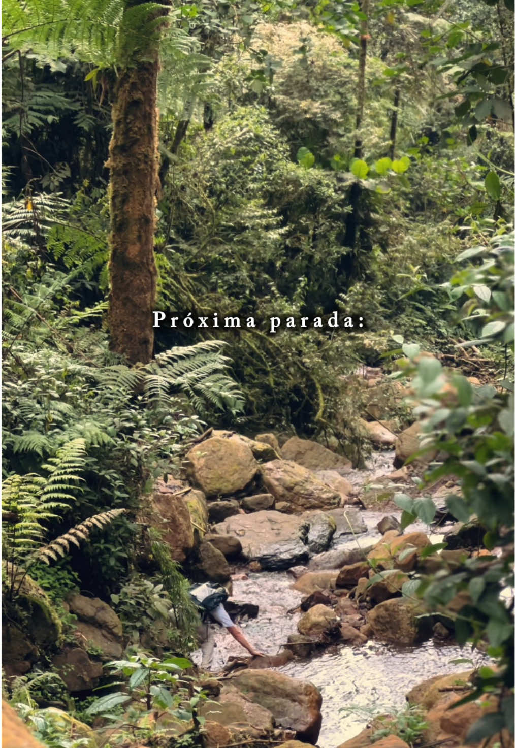 @Santiago Guerrero