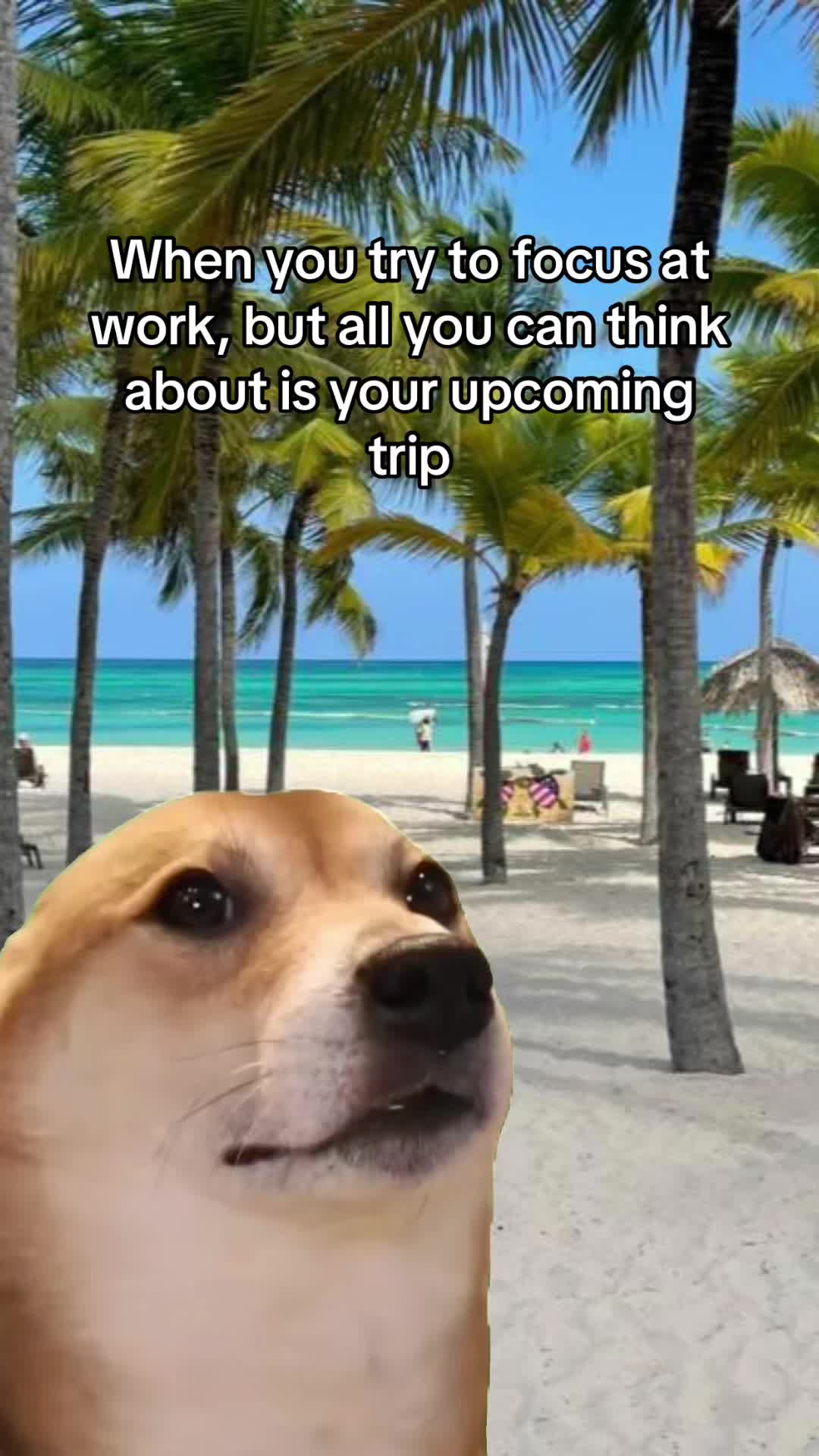 @Travelingwithsabrina
