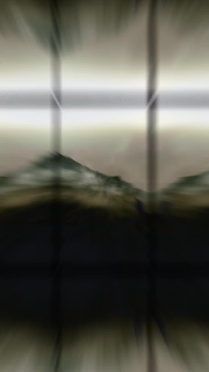 @꧁ ♱ ꧂ 🪳